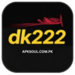 DK222 Game