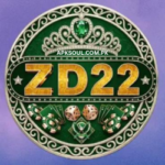 zd22 game