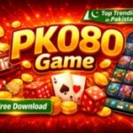 PK080 game