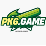 pk6 game