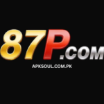 87P Game