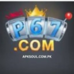 p67 game