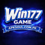 Win177 game